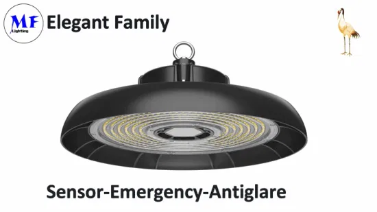 ハイベイライト倉庫ライト UFO ライト器具 100W 150W 200W 150lm/W IP66 工場出荷時の価格ハイベイライト